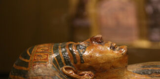 Il Museo Egizio di Torino